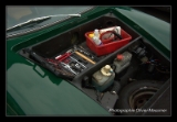Bricolage sur Lotus Europe